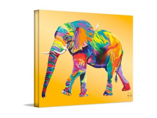canvas-art